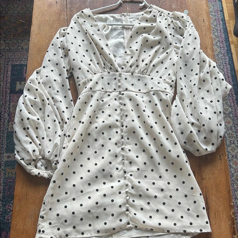 Urban Outfitters “Willow” Polka Dot Dress | Sheer Sleeves, Button Front (S)
